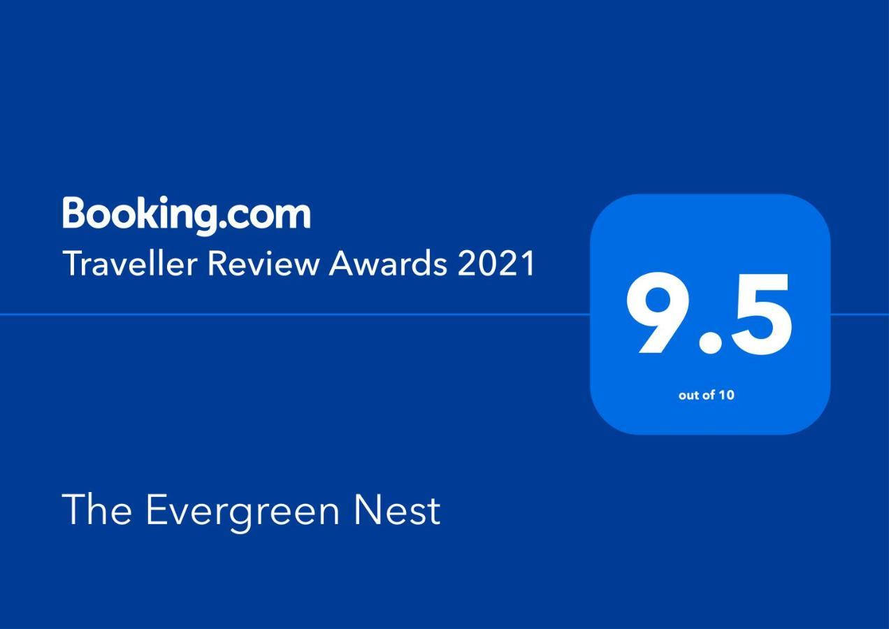 The Evergreen Nest - Silver Mountain 포이아나브라소프 외부 사진